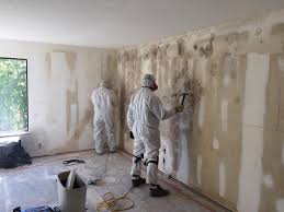 Biohazard Mold Removal in Vineyard, CA